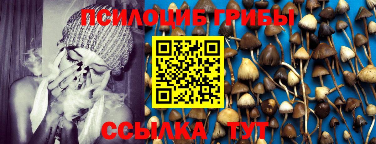 Галлюциногенные грибы GOLDEN TEACHER Белогорск
