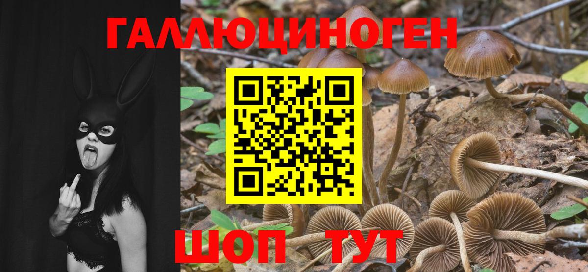 Псилоцибиновые грибы Psilocybe  Вход с VPN  Белогорск  Галлюциногенные грибы GOLDEN TEACHER 